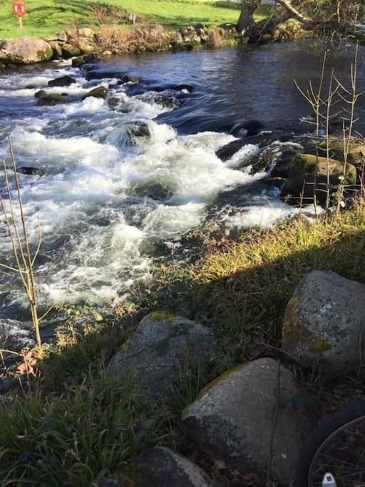 Stunning 3 Bed Riverside Cabin In Snowdonia Caeathro Eksteriør billede