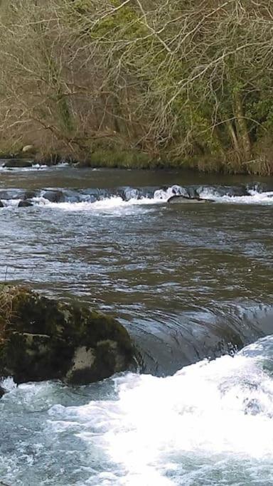 Stunning 3 Bed Riverside Cabin In Snowdonia Caeathro Eksteriør billede