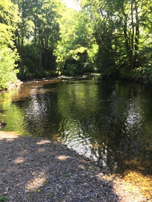 Stunning 3 Bed Riverside Cabin In Snowdonia Caeathro Eksteriør billede