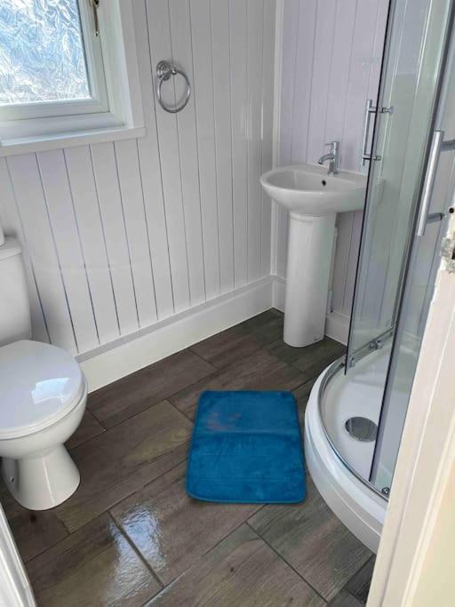 Stunning 3 Bed Riverside Cabin In Snowdonia Caeathro Eksteriør billede