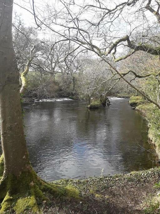 Stunning 3 Bed Riverside Cabin In Snowdonia Caeathro Eksteriør billede