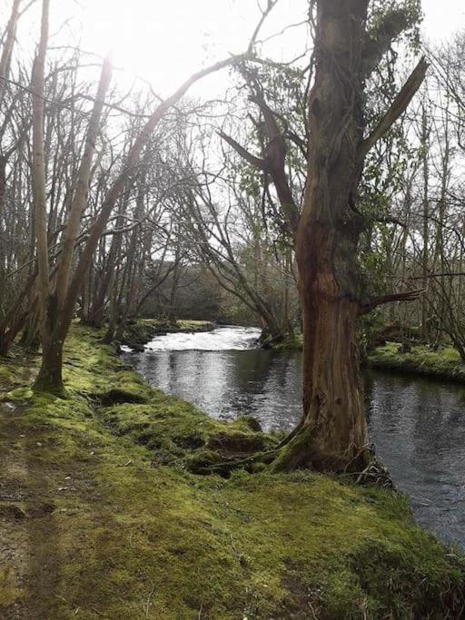 Stunning 3 Bed Riverside Cabin In Snowdonia Caeathro Eksteriør billede