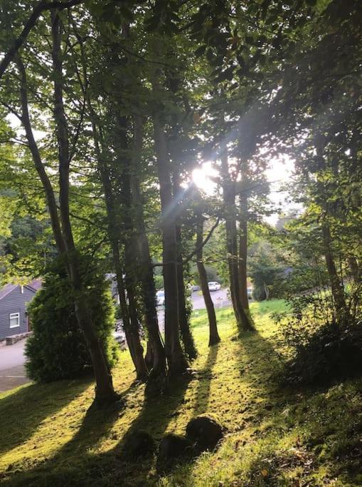 Stunning 3 Bed Riverside Cabin In Snowdonia Caeathro Eksteriør billede