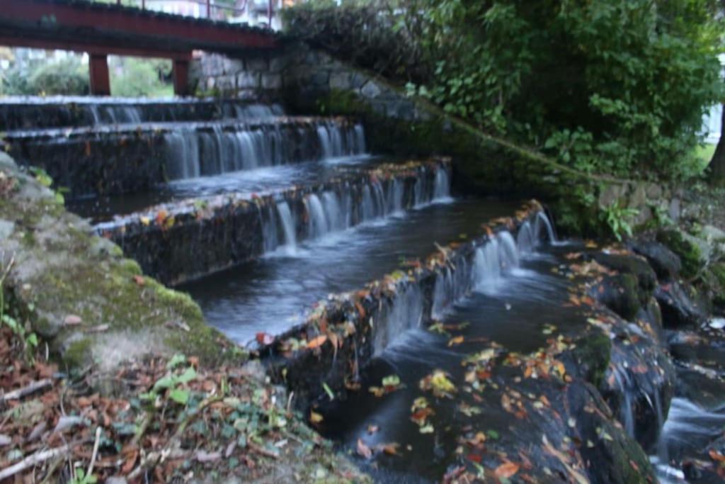 Stunning 3 Bed Riverside Cabin In Snowdonia Caeathro Eksteriør billede